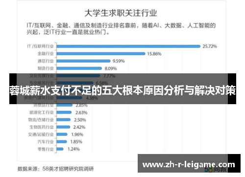 蓉城薪水支付不足的五大根本原因分析与解决对策